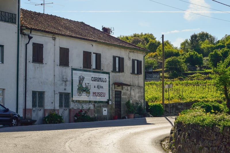 David Francisco, Mayo 11, 2019. CC BY-NC 4.0.