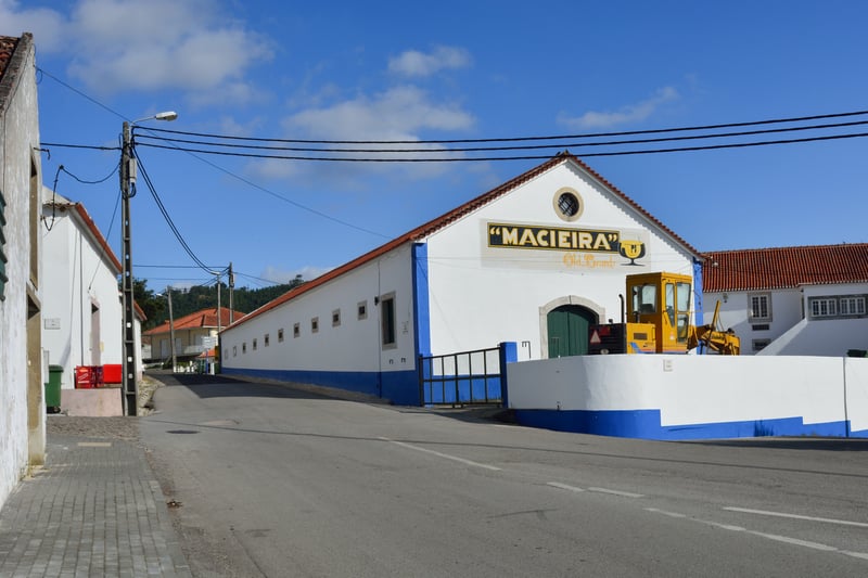 David Francisco, Isabel Boavida, Junio 30, 2019. CC BY-NC 4.0.